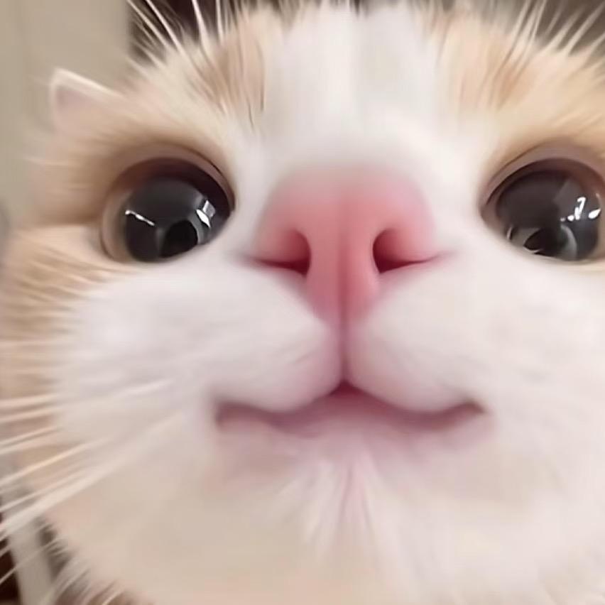 胖汤