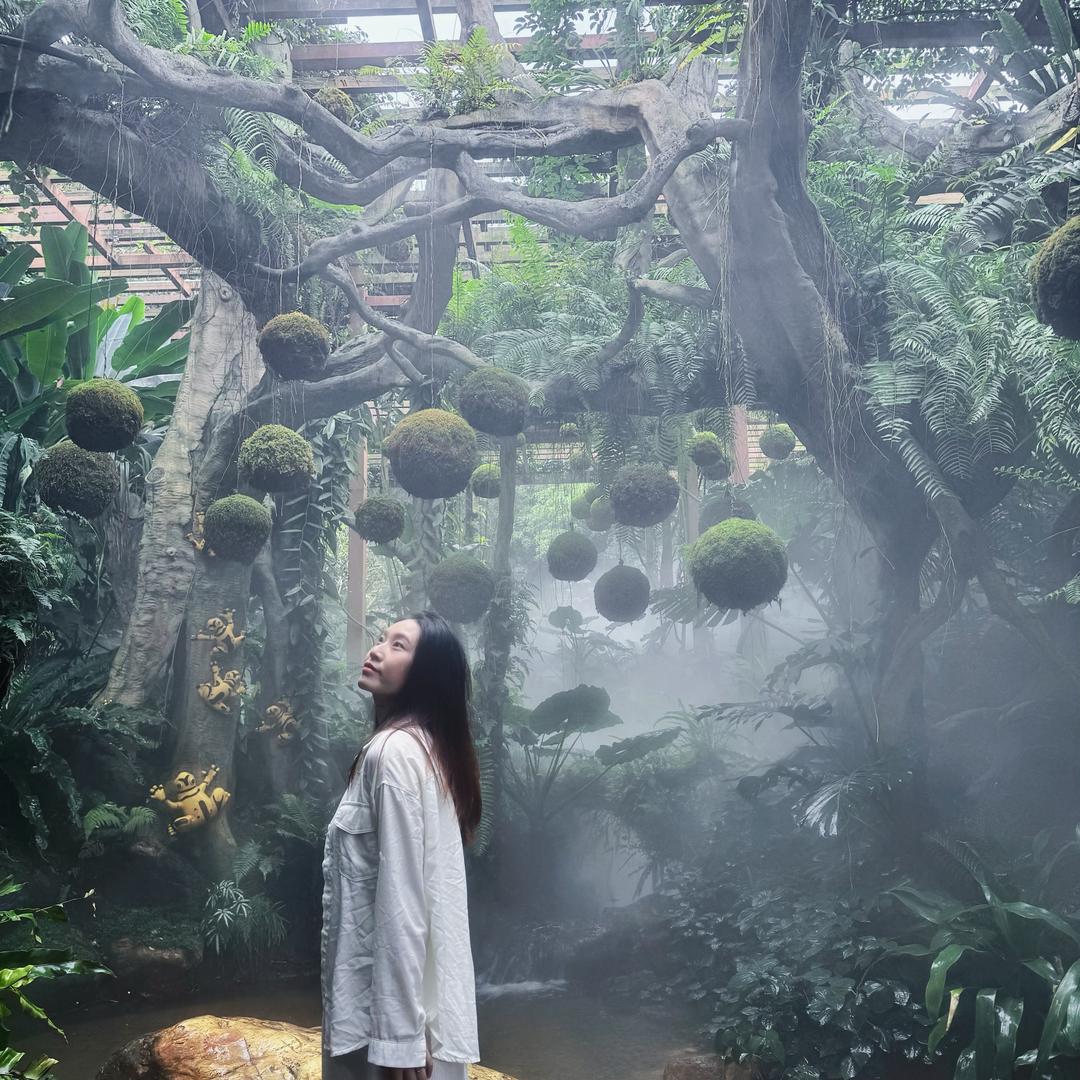 小琳严选衣橱