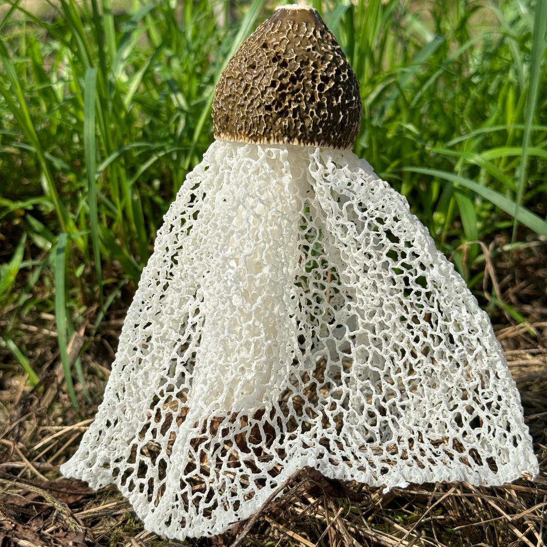 占老伯农产品严选铺