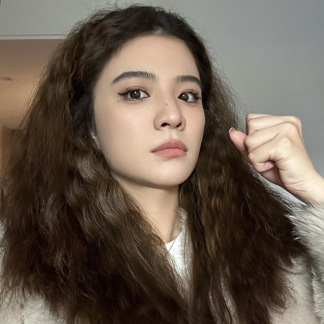 红烧狮子头