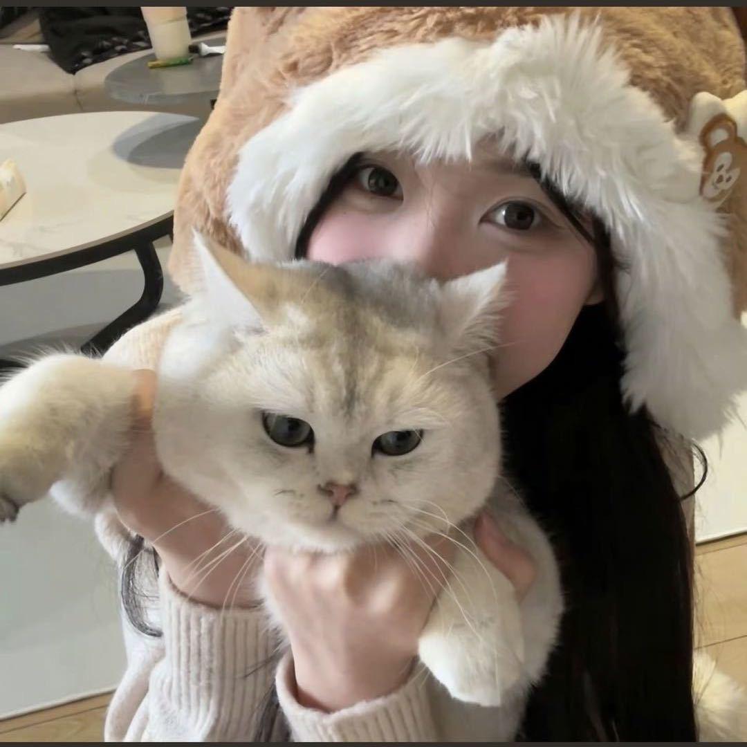 吃瓜小艺