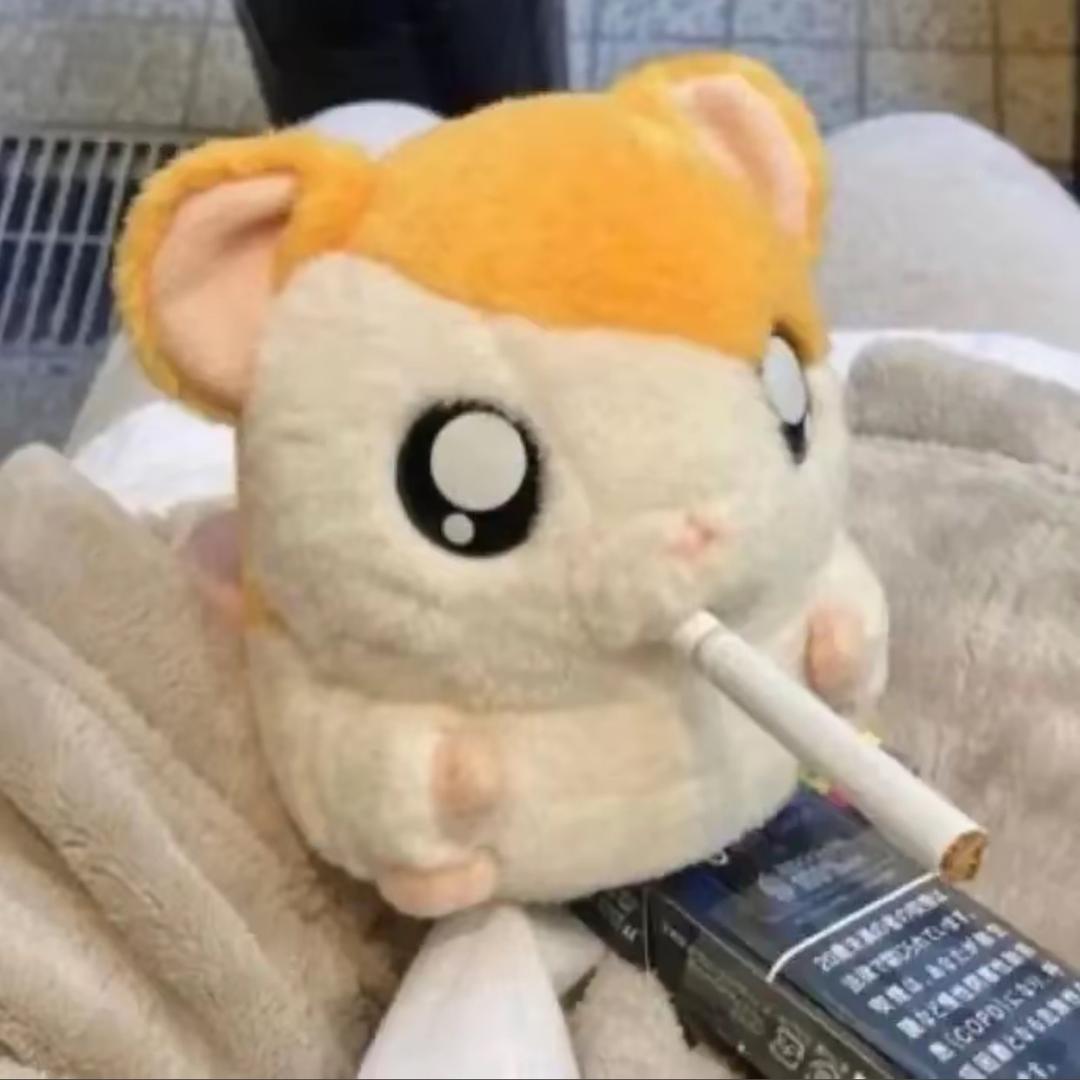 王南宁
