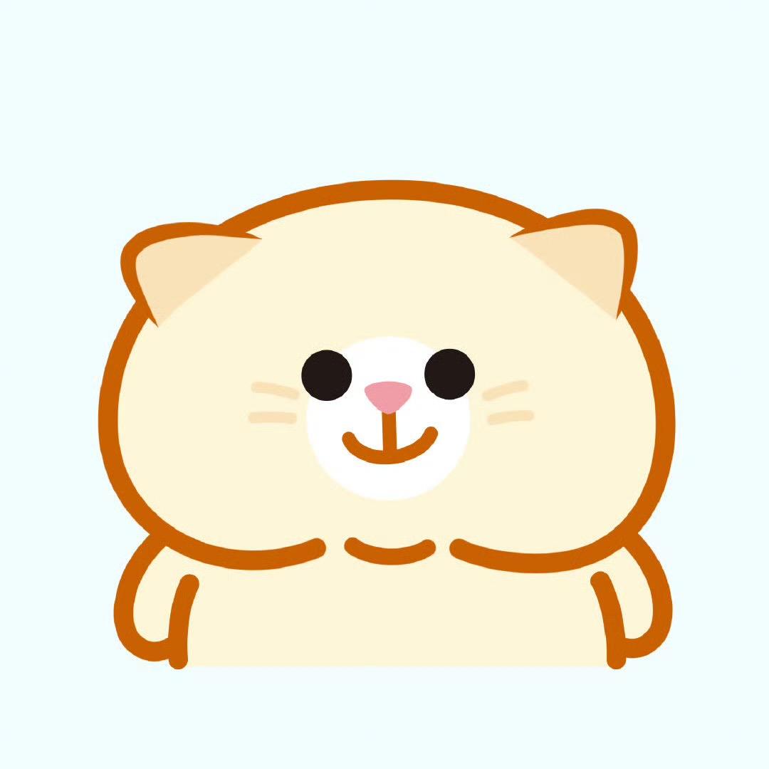 巷子里的猫.