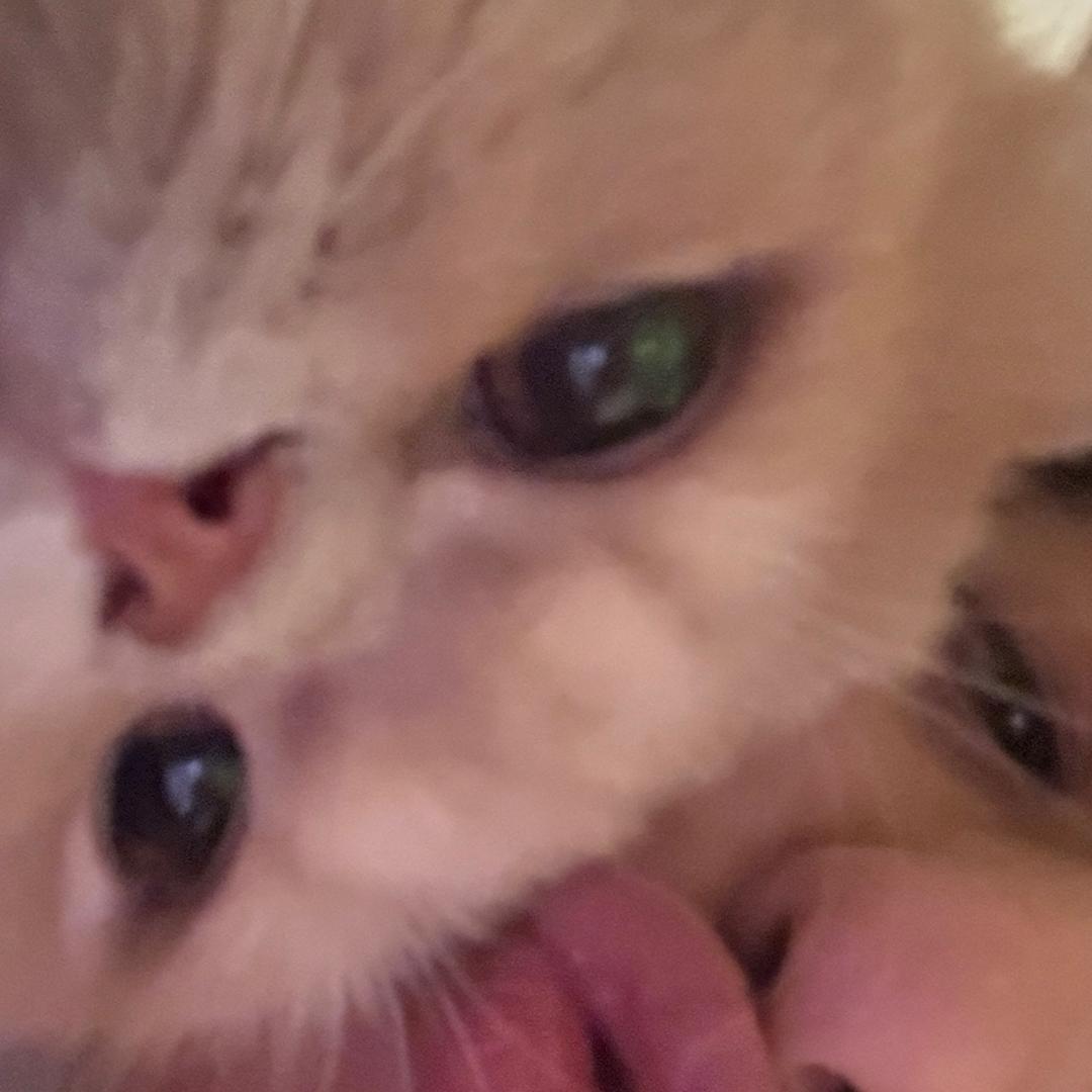Ziaa