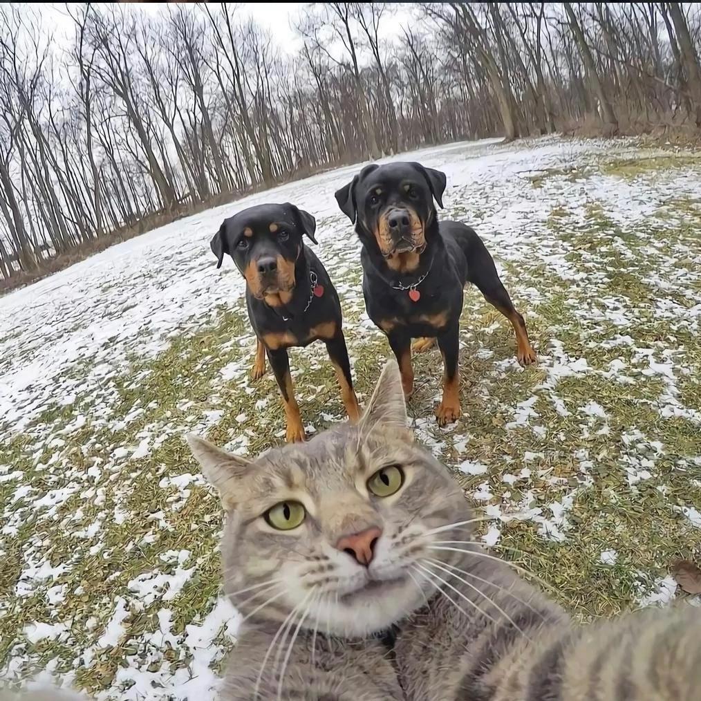 你看起来很好吃