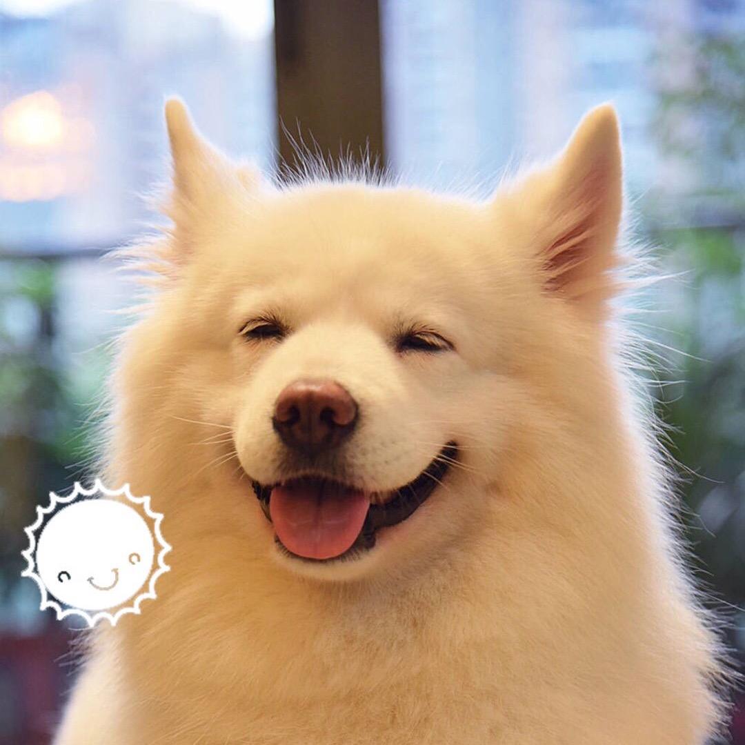 辉太郎灬外心人