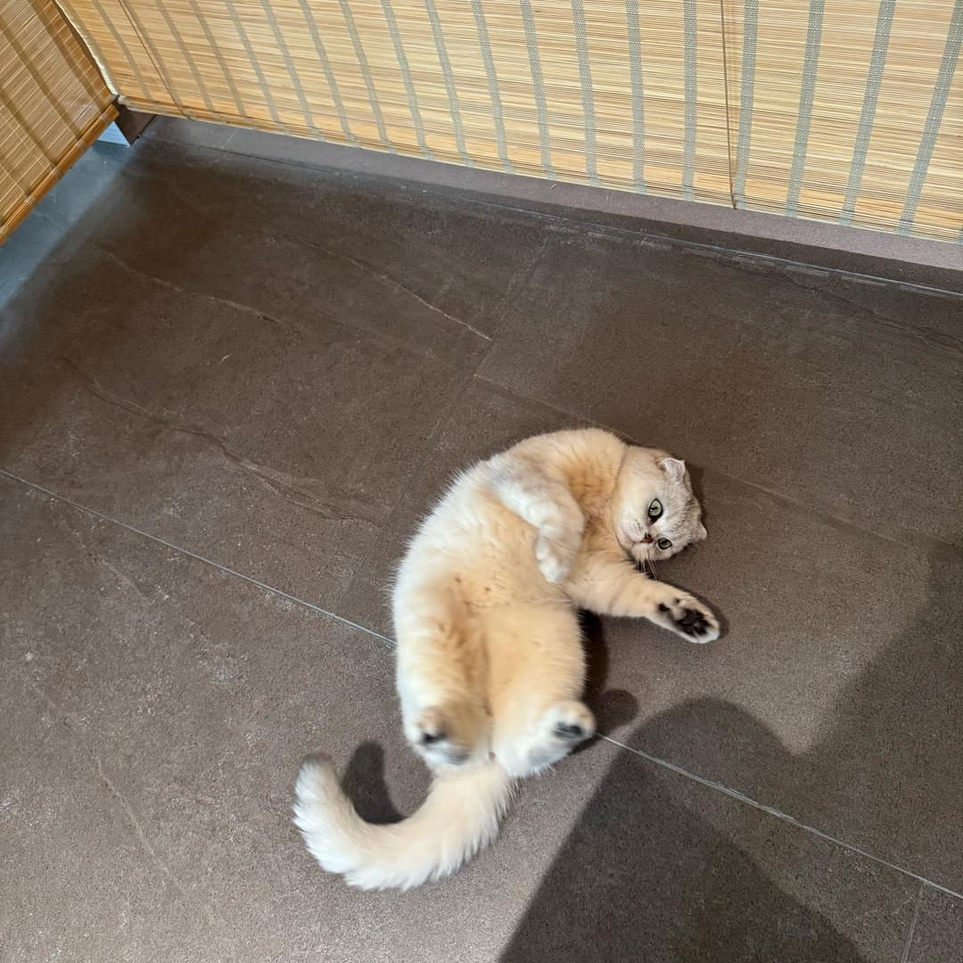 李秀秀