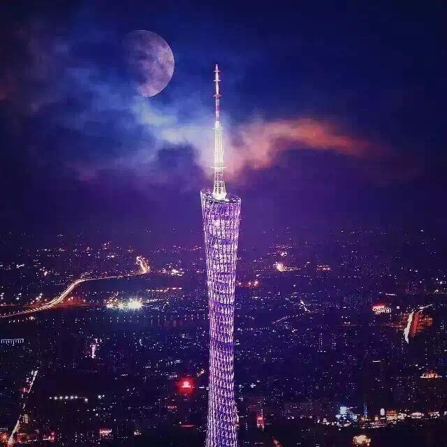 跟地胆稳食.