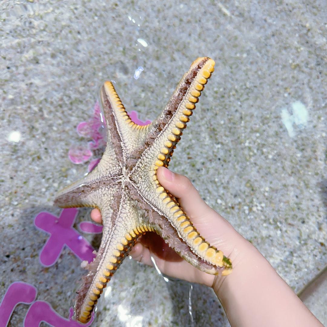 流浪妹