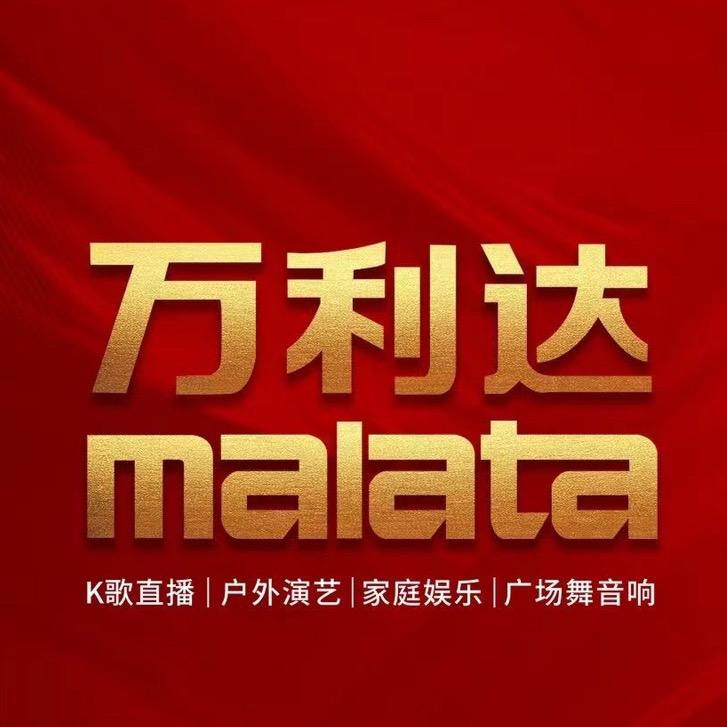天津万利达音箱