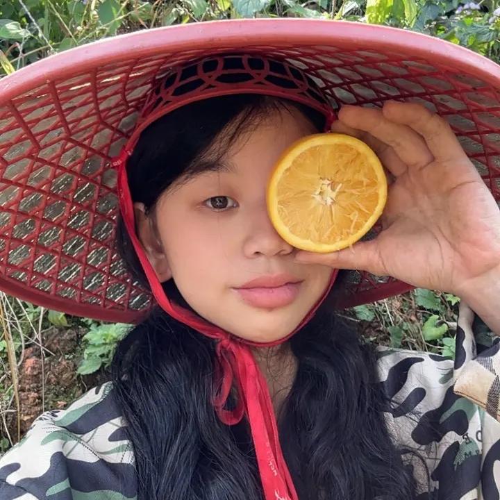 扬宸赣南脐橙果园