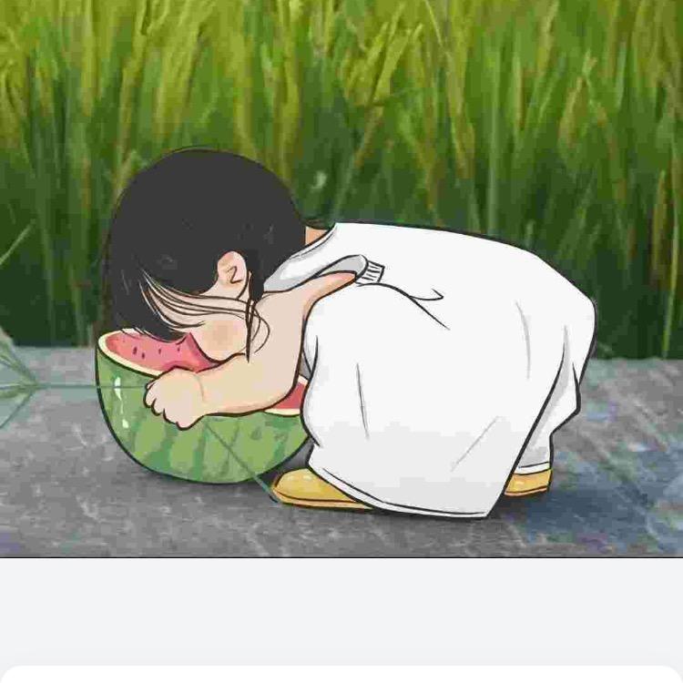 晓月优选