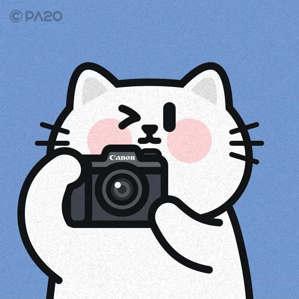 渡水 📸