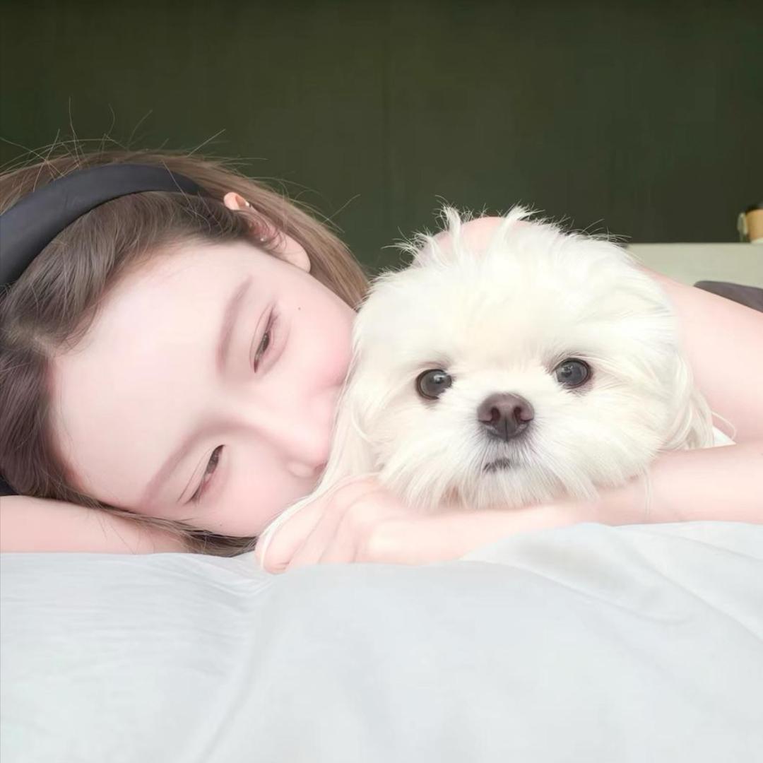 美羊羊🎀.