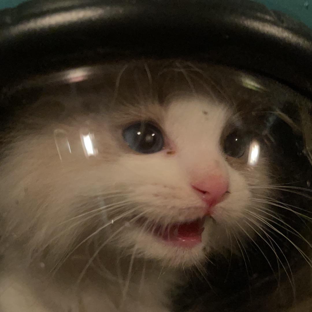 冰果