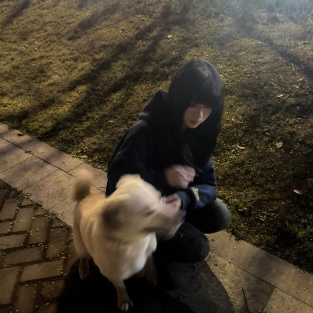火鸡面梦女
