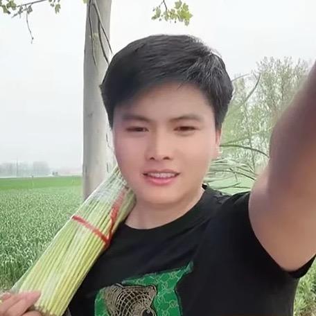 农村的海臣