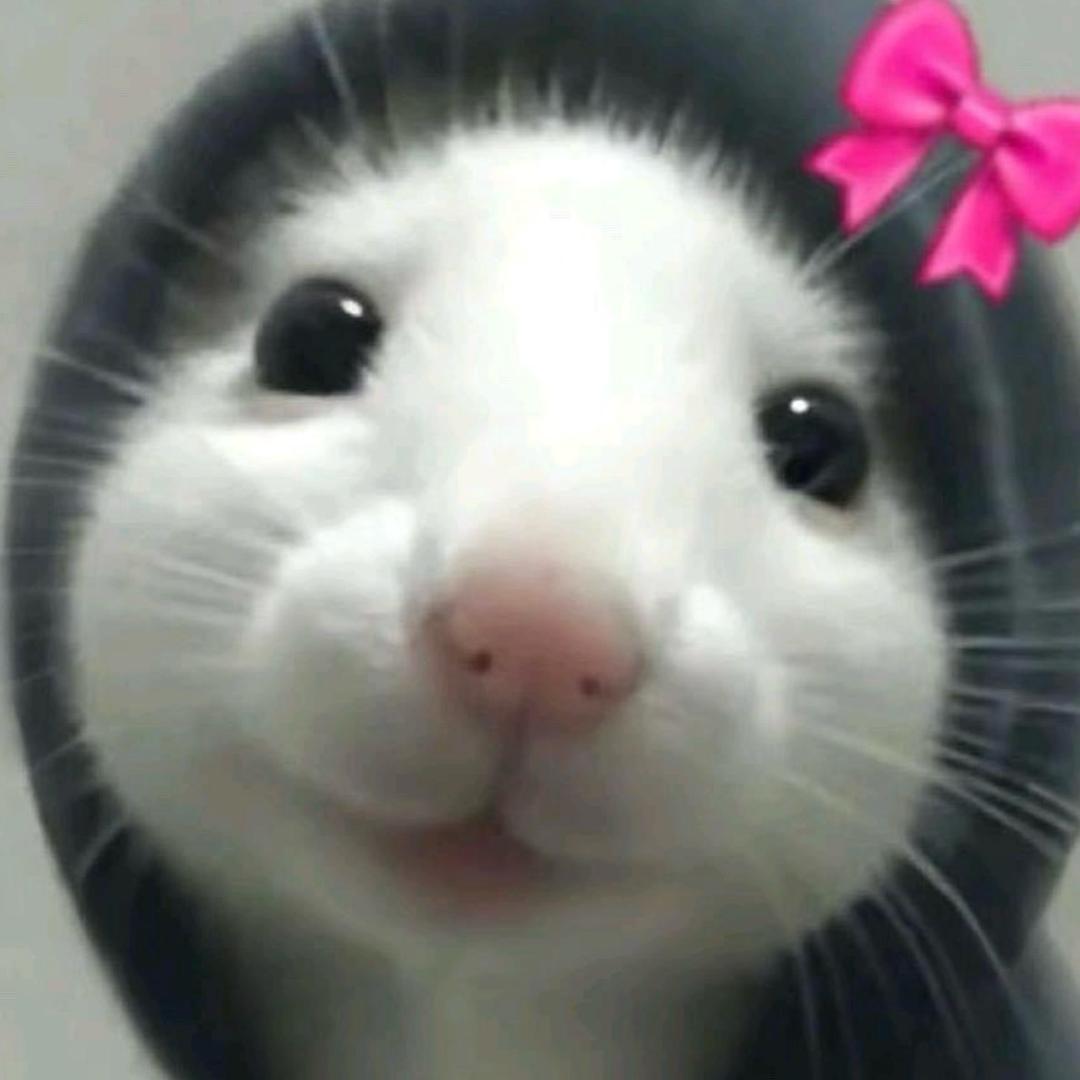 Yuyuhyun-