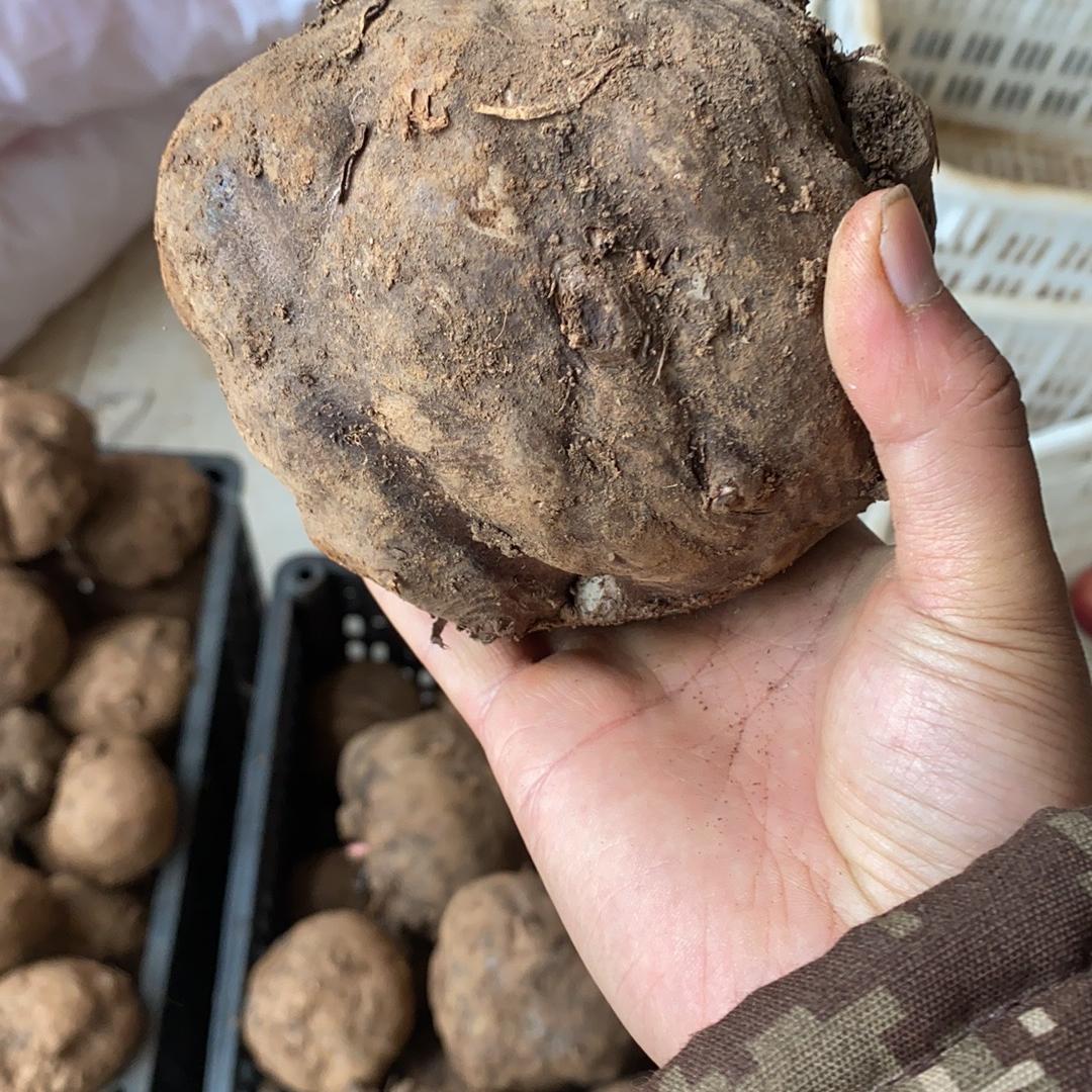 山沟沟特色小吃店