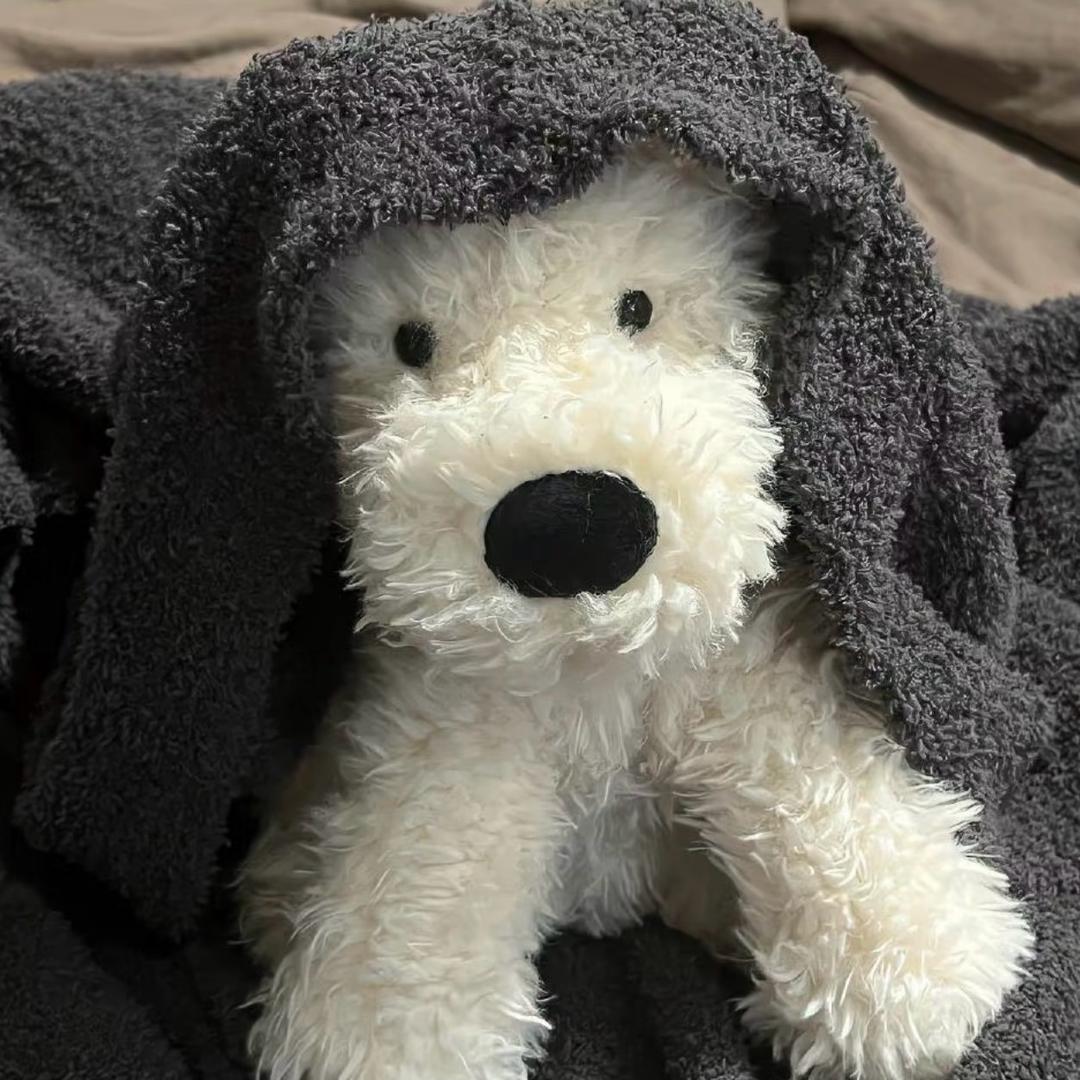 纯子˶⍤⃝˶🧸