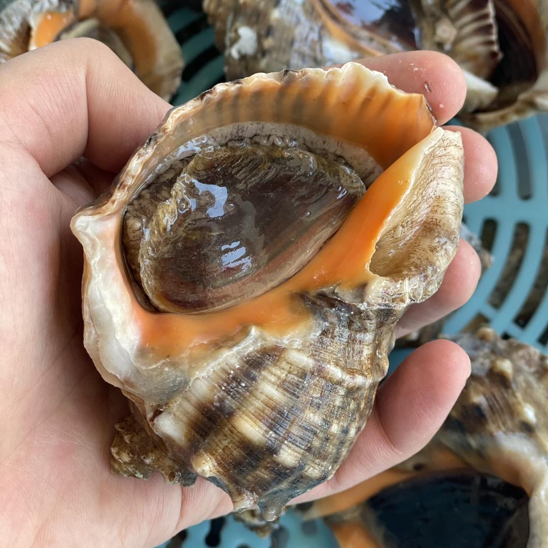 海阳行村1+1水产