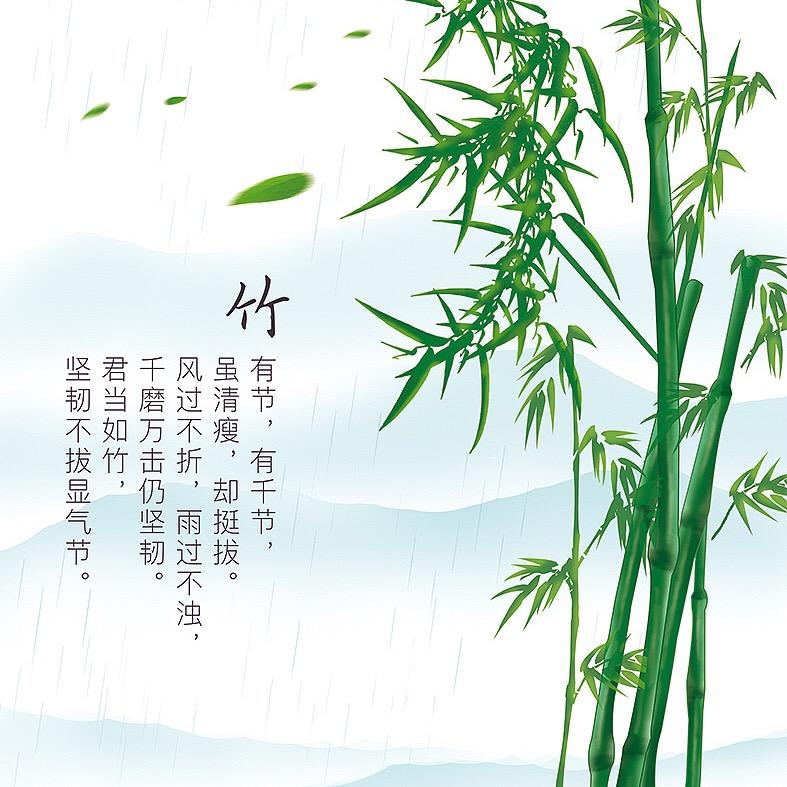 竹染轻尘丶