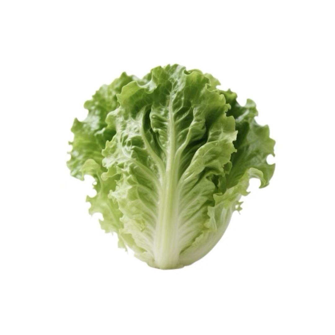 蒂通-钰钰向厚赚