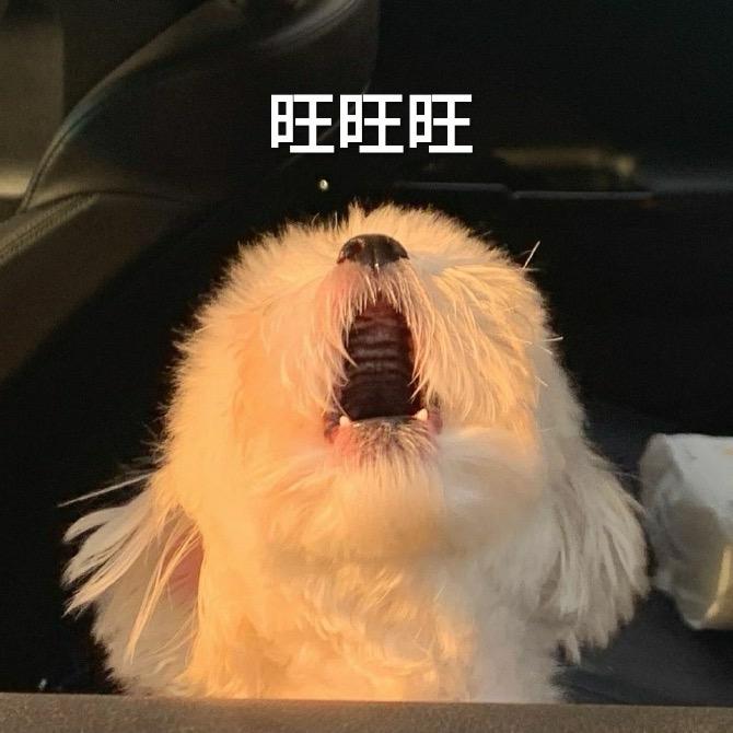 甄选优质好物商行