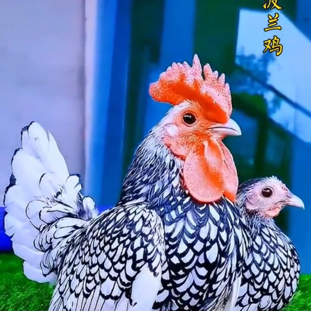 芯农贵农业生活坊