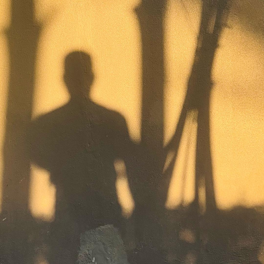 🐘.