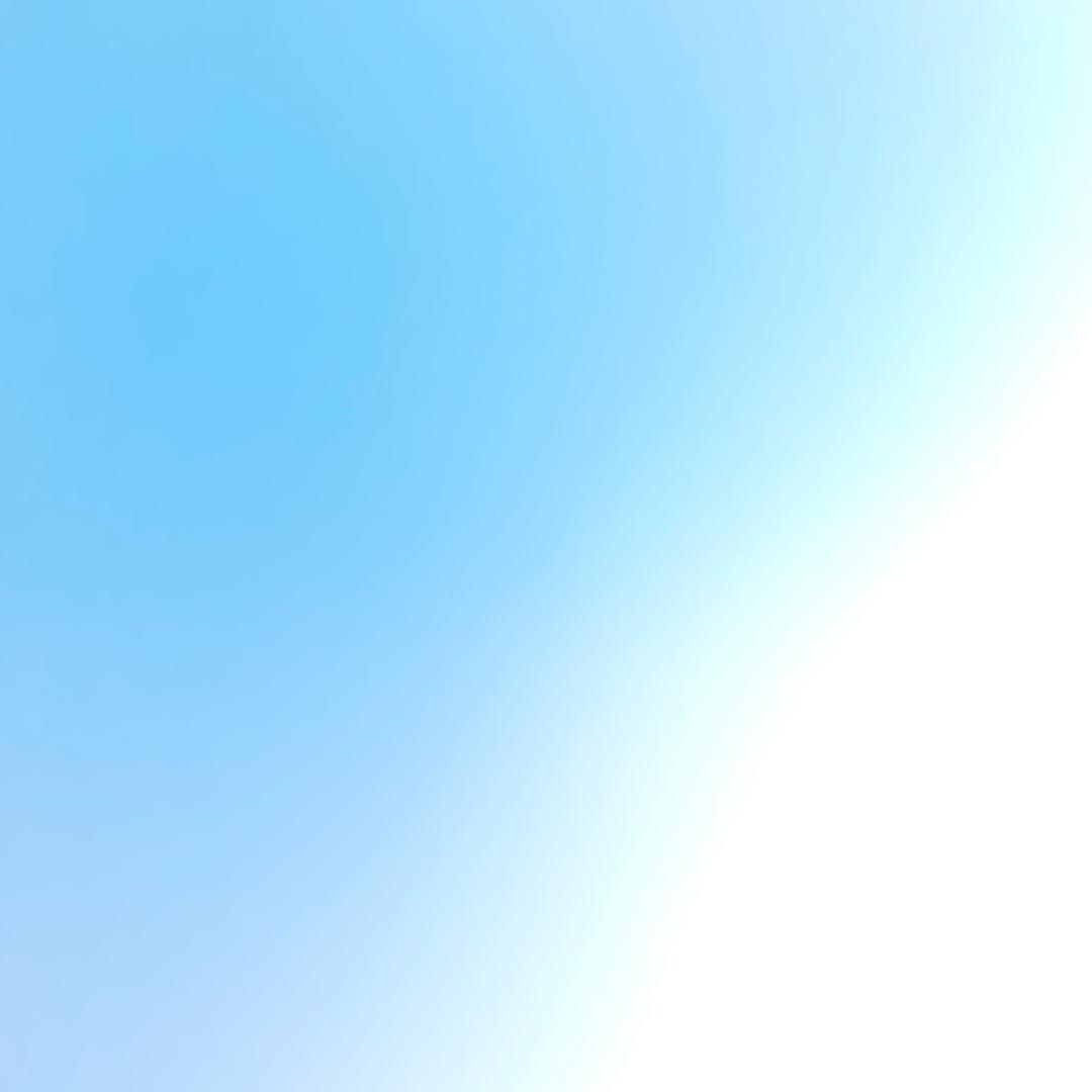 快樂的笨蛋