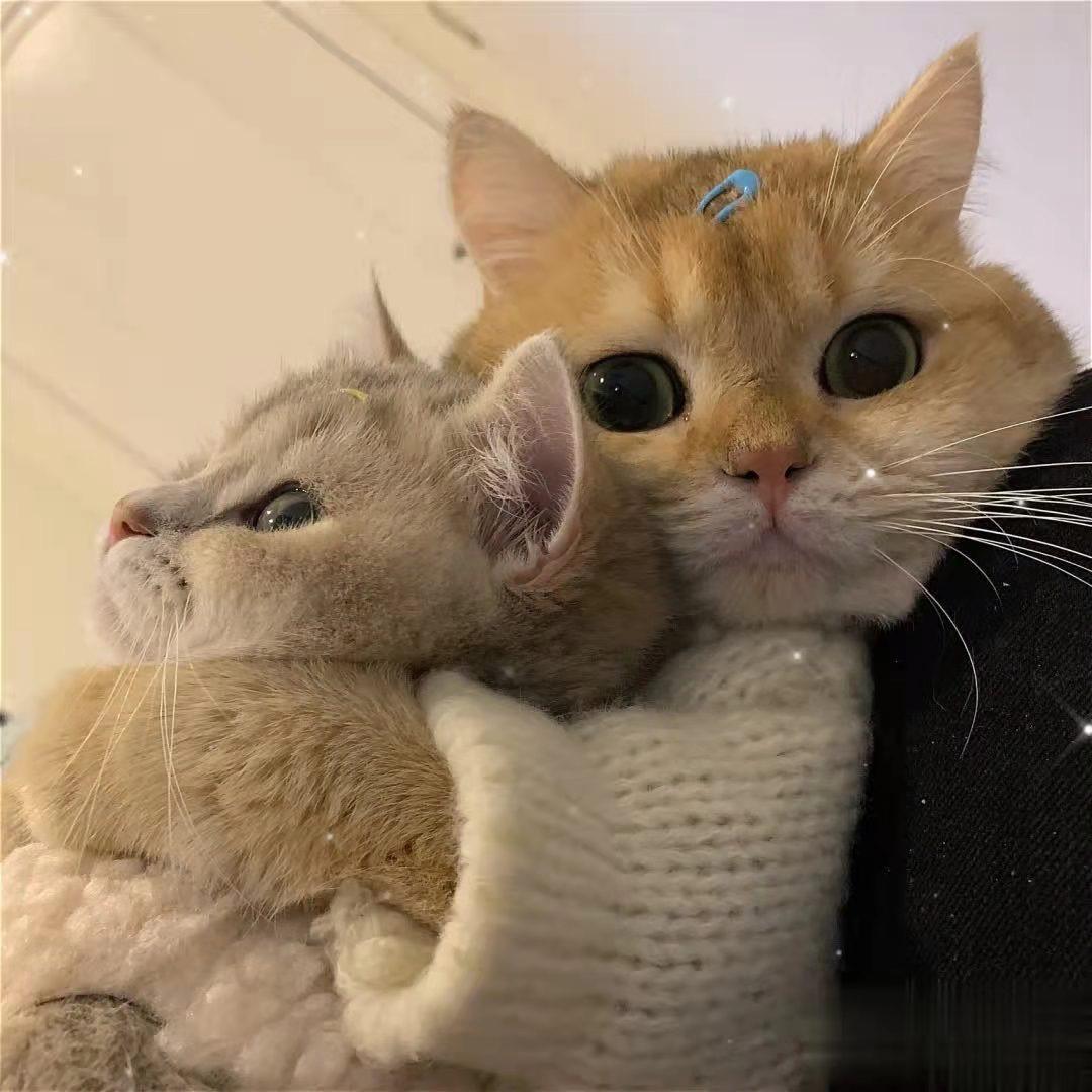 一个老大叔！！