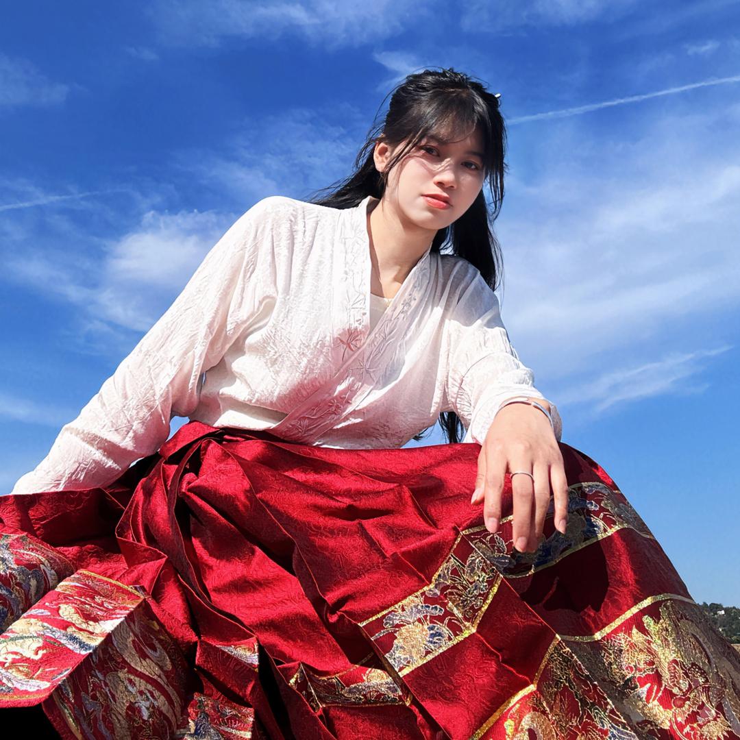 🐯 镜头下的拼图 🧩