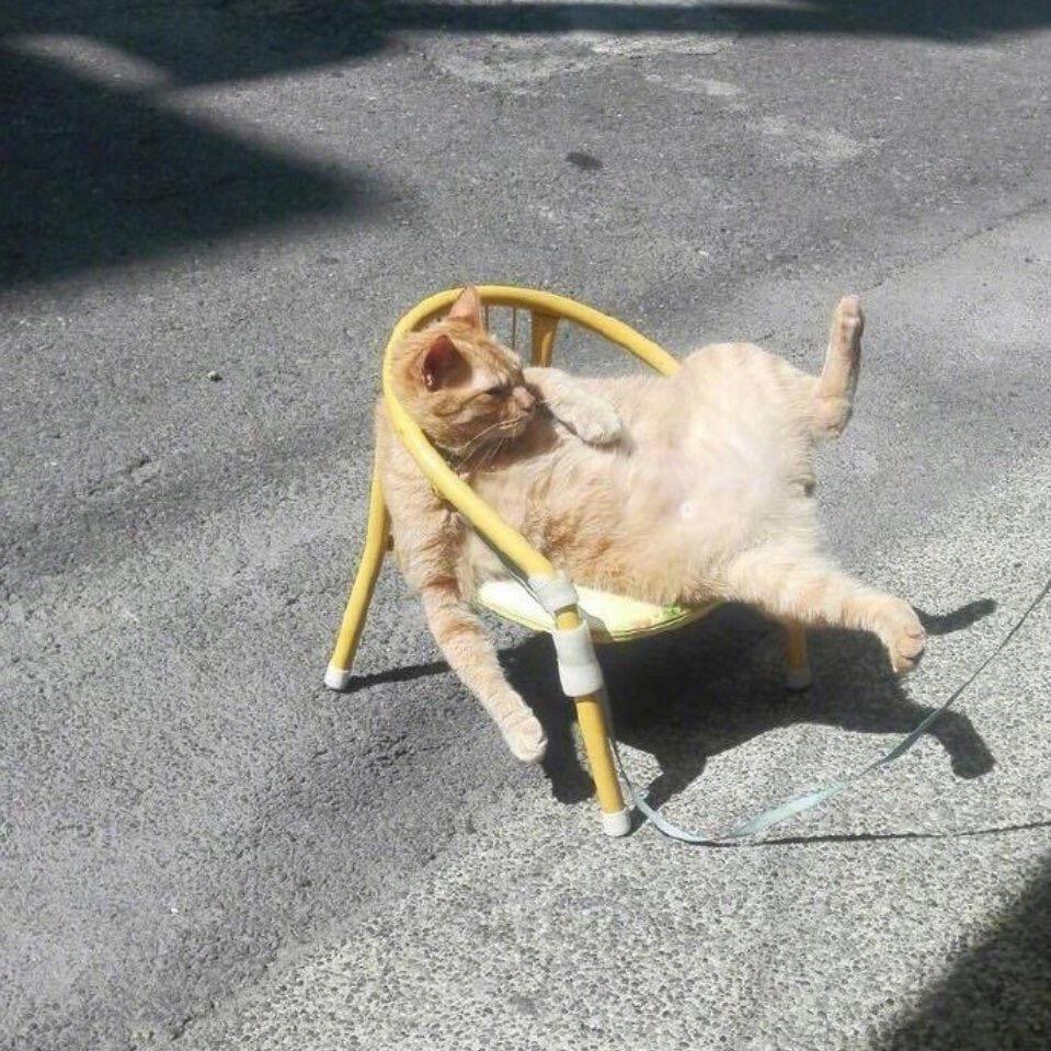 旭沁隆商贸创意精品店