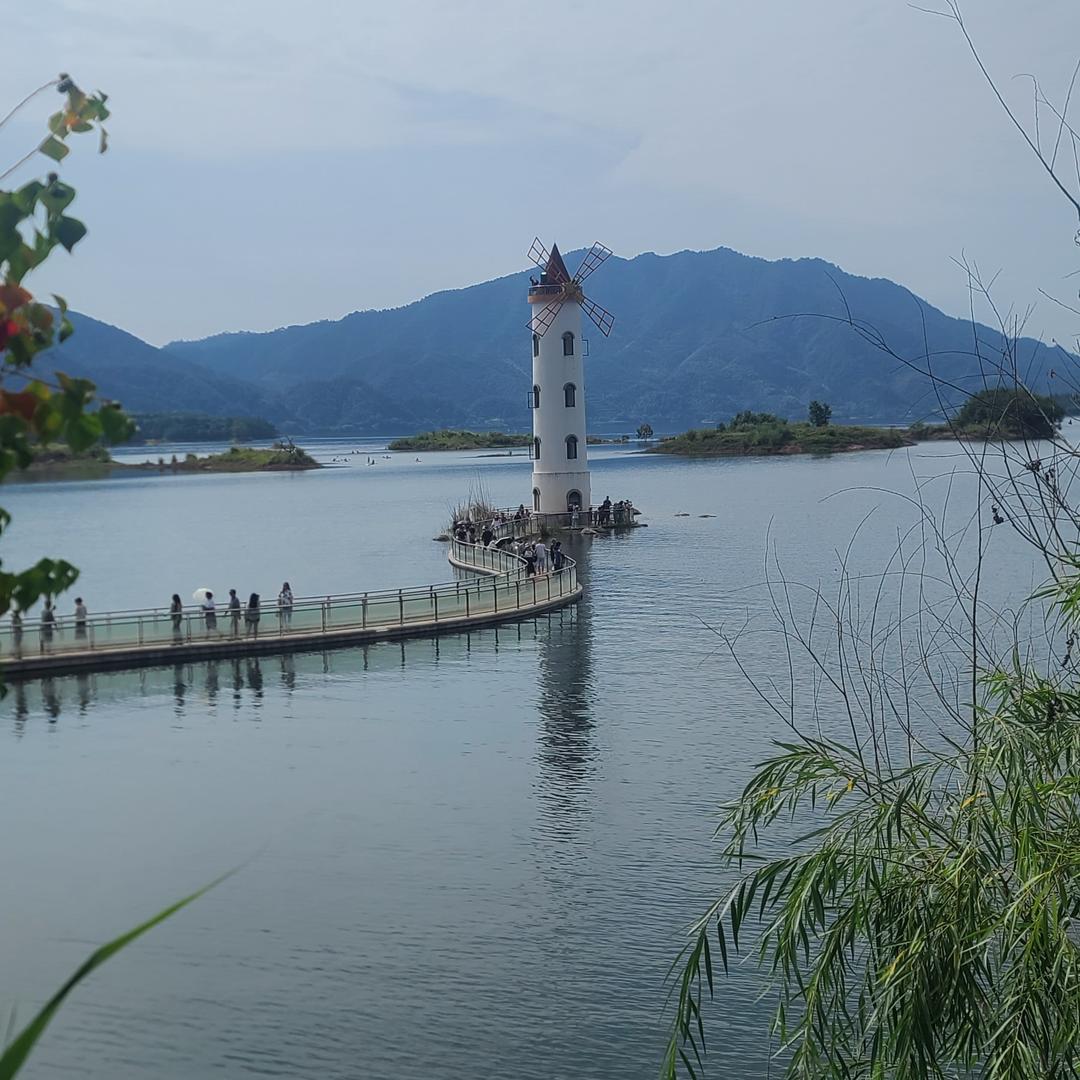 夏虫意难平