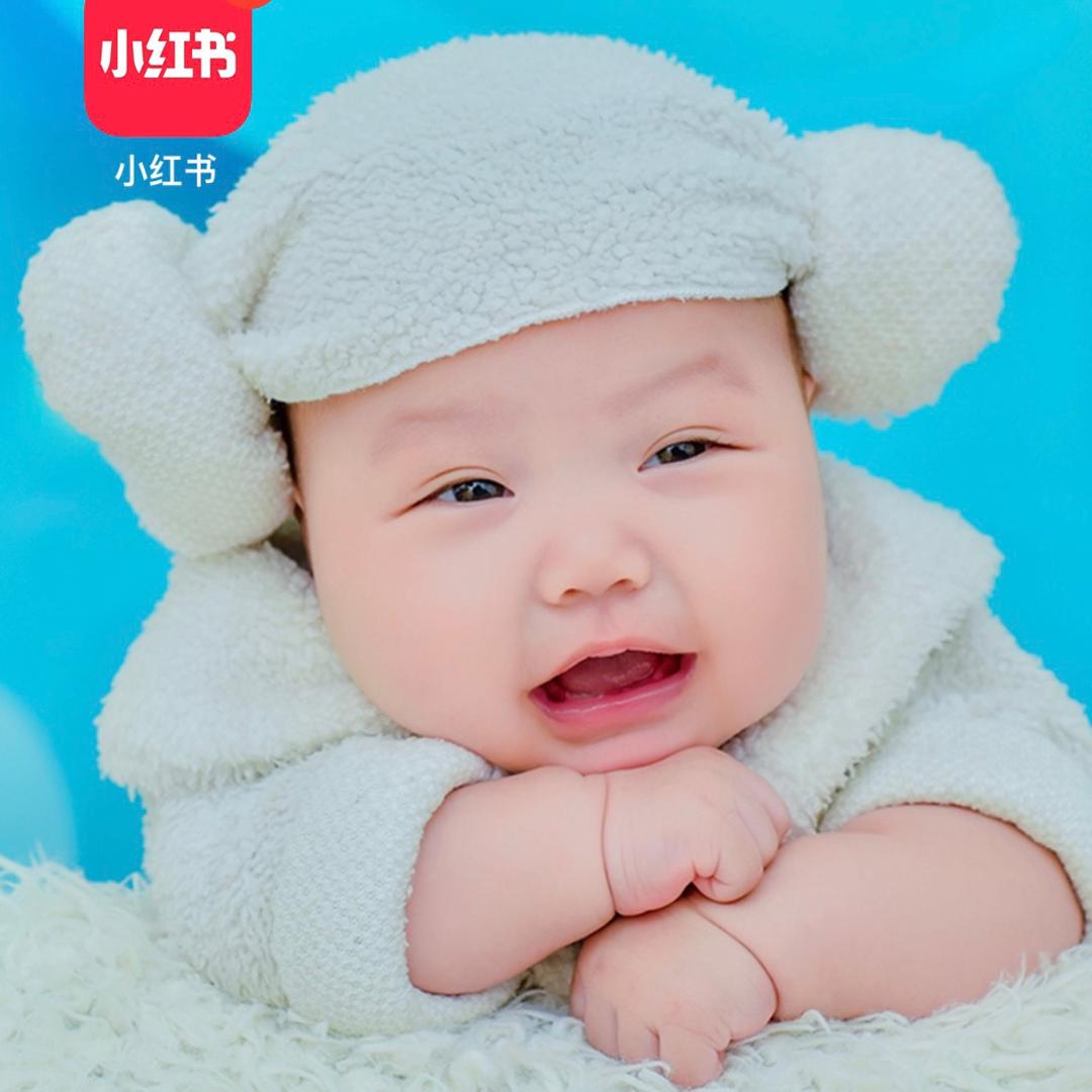 鱼儿