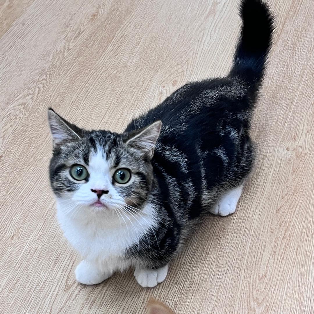 落霞与孤鹜齐飞