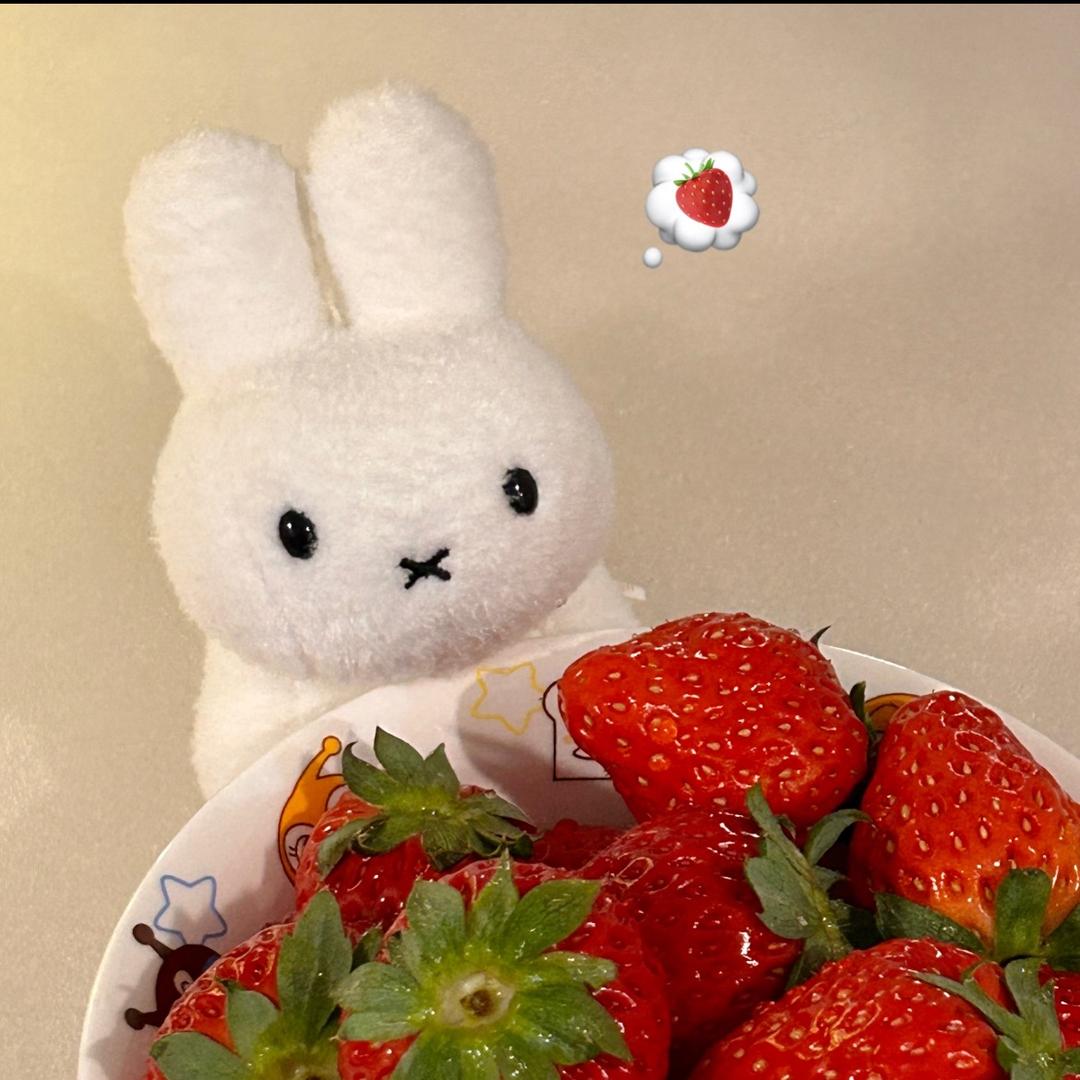 🍓莓烦恼