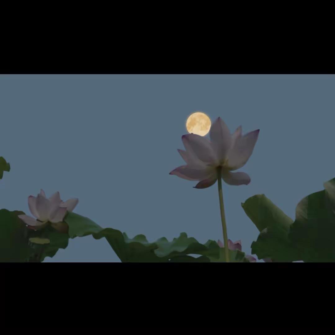 善善