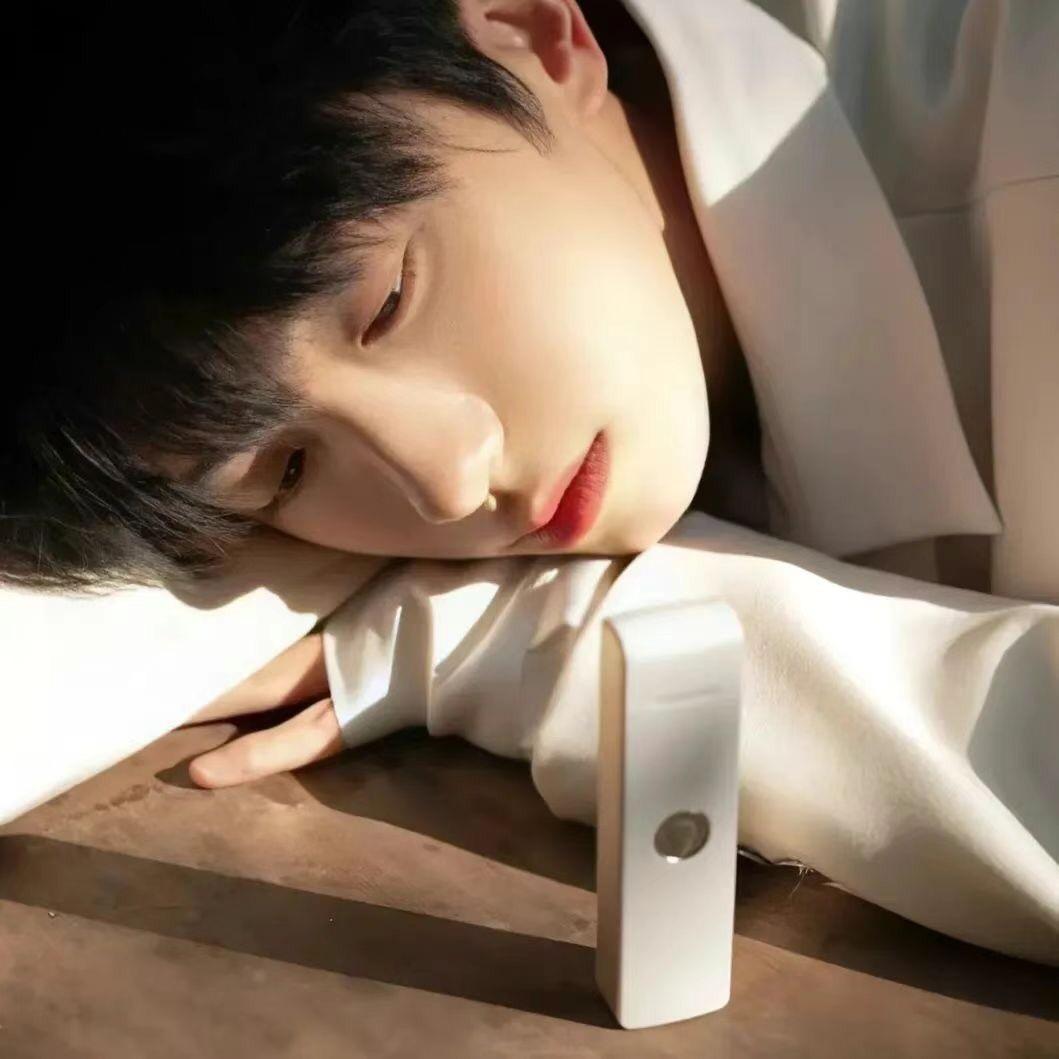 懒羊羊不爱吃香菜.