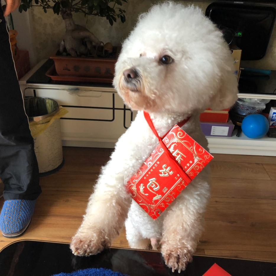 沉默是金（七零八零的歌）