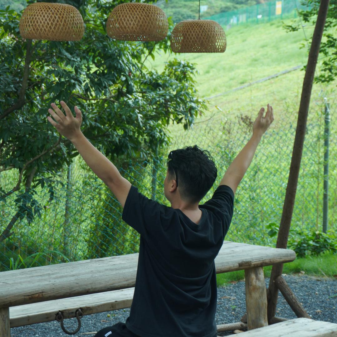一壶龙井茶
