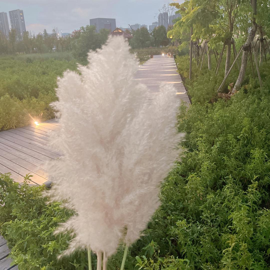 零零七