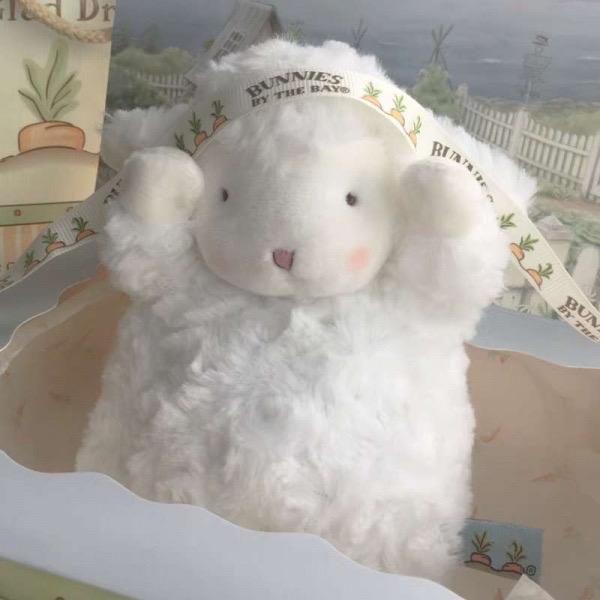 挽月🐑