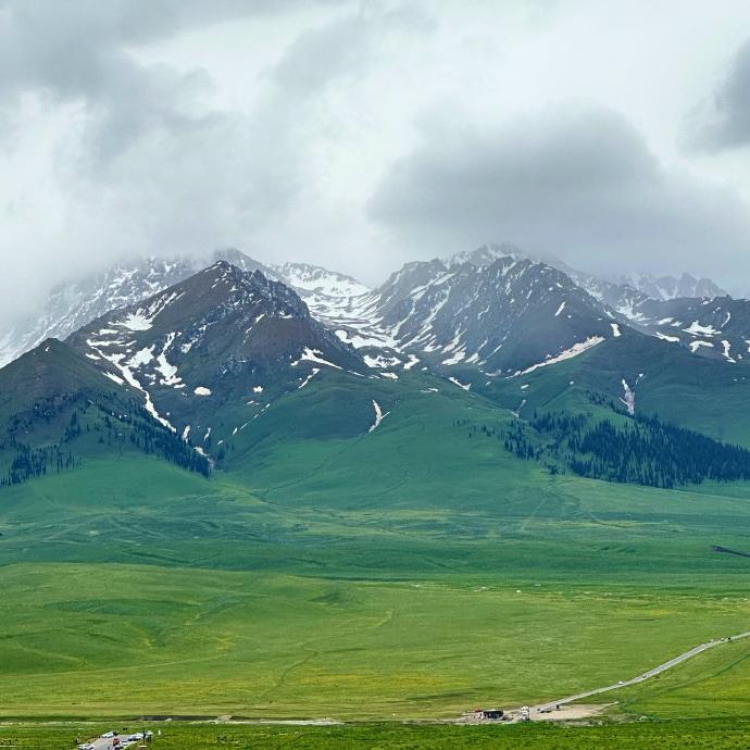 季佐呈骥专卖店
