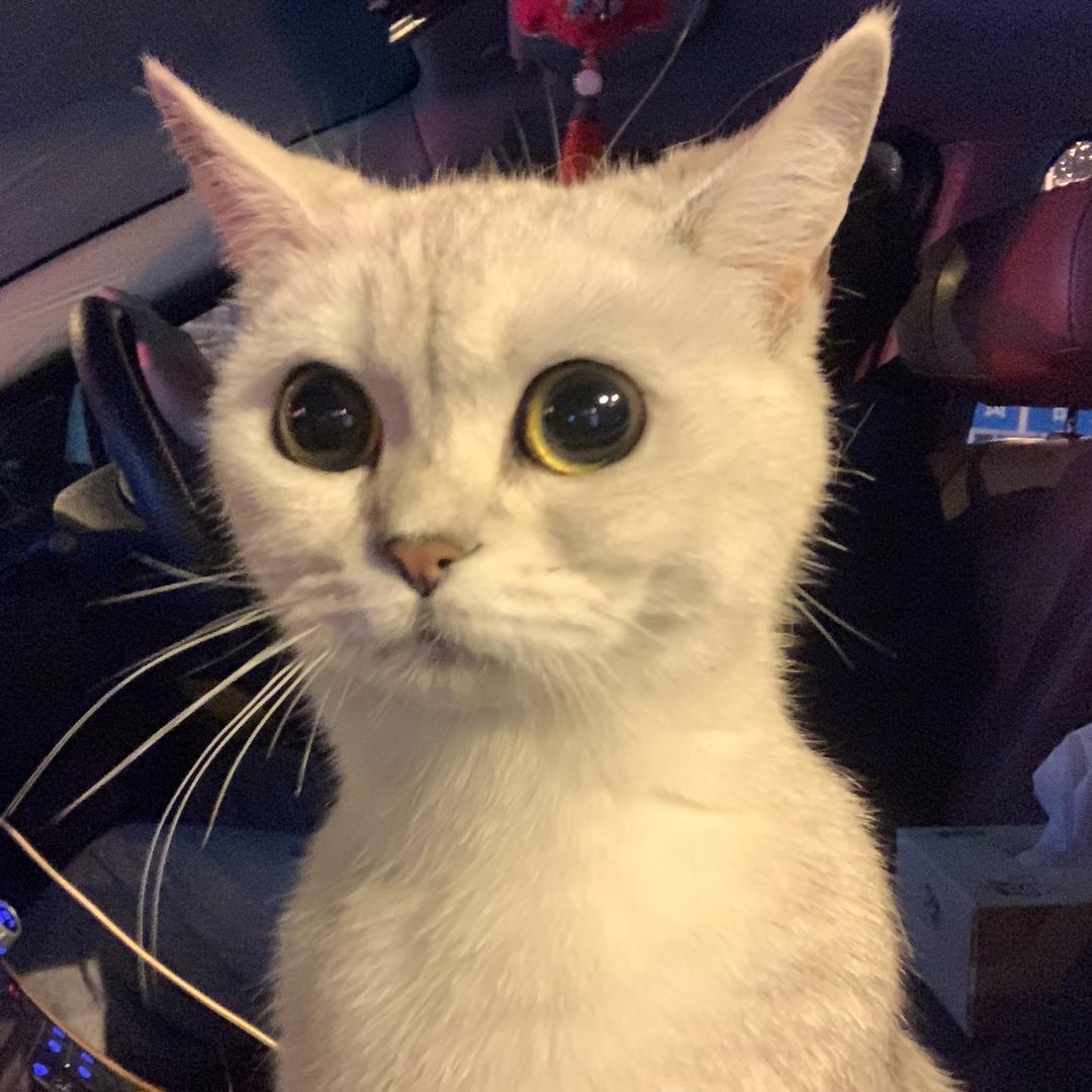 斓♡