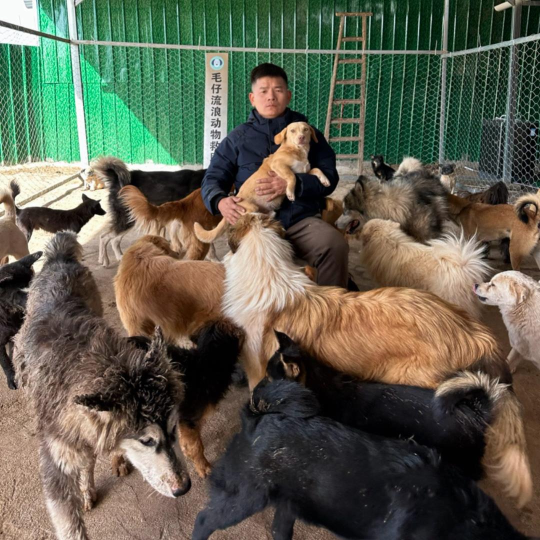 毛仔流浪动物乐园