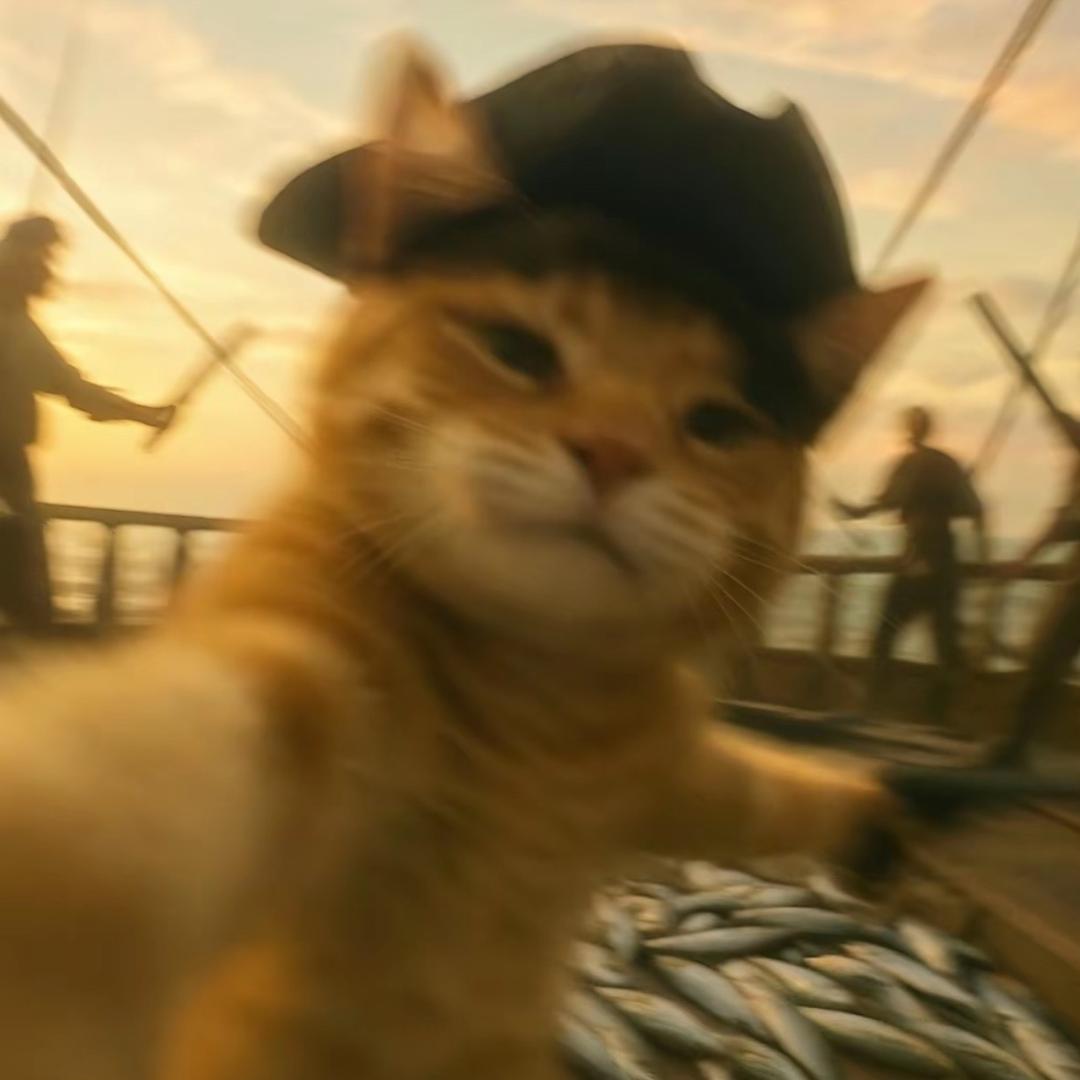 土豆炖马铃薯🥔