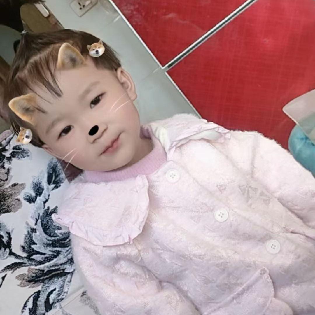 农村小飞