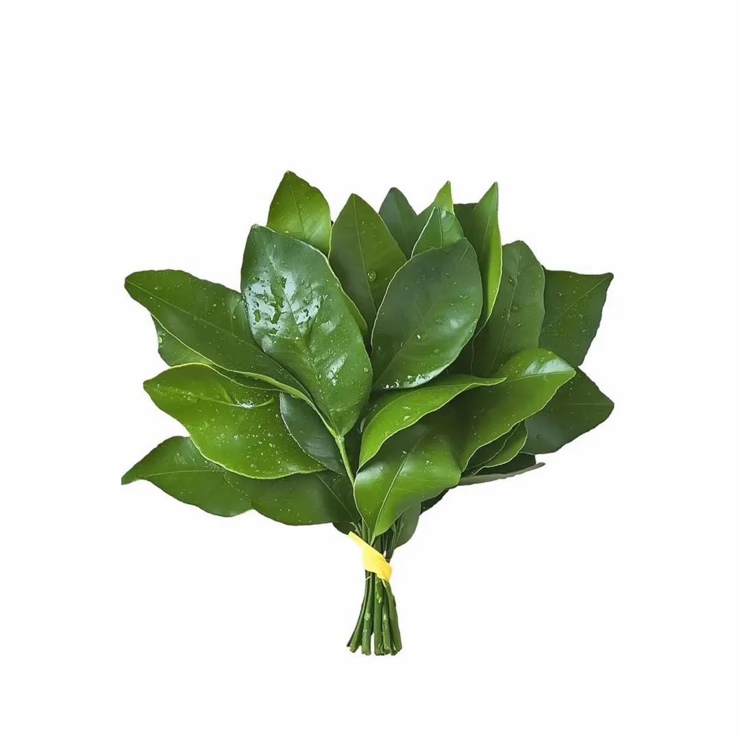 发大财 挣大钱 顺利顺意